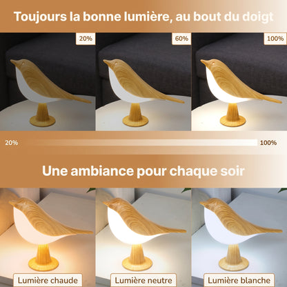 Veilleuse tactile oiseau LED rechargeable – PlumeBois