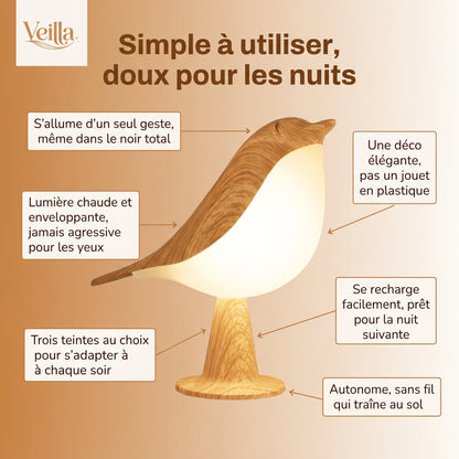 Veilleuse tactile oiseau LED rechargeable – PlumeBois