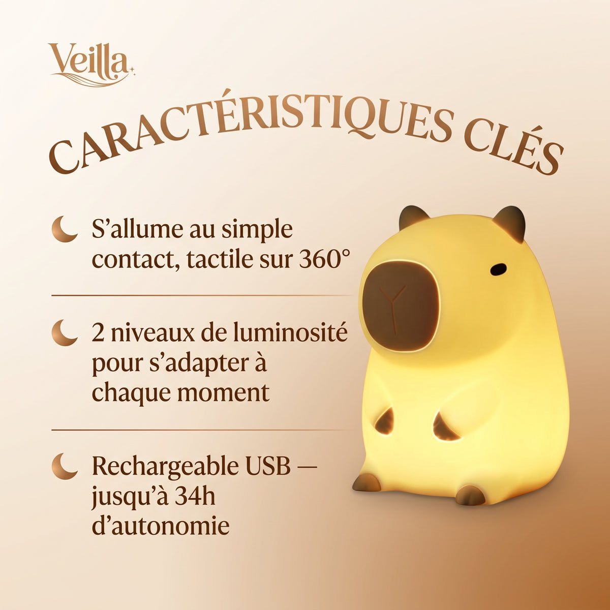 Veilleuse bébé capybara tactile silicone rechargeable – BoulouCapy